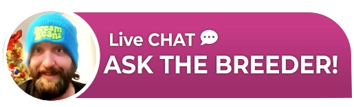 Live Chat: Ask the Breeder!
